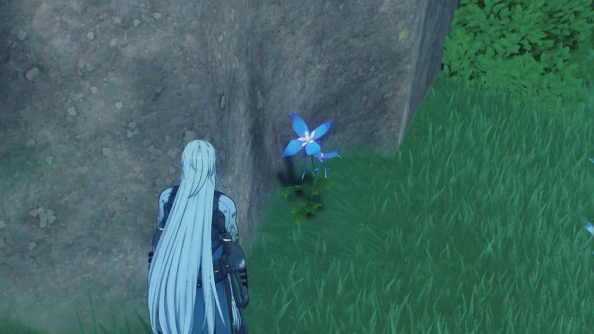 Wuthering Waves Iris locations | Eurogamer.net