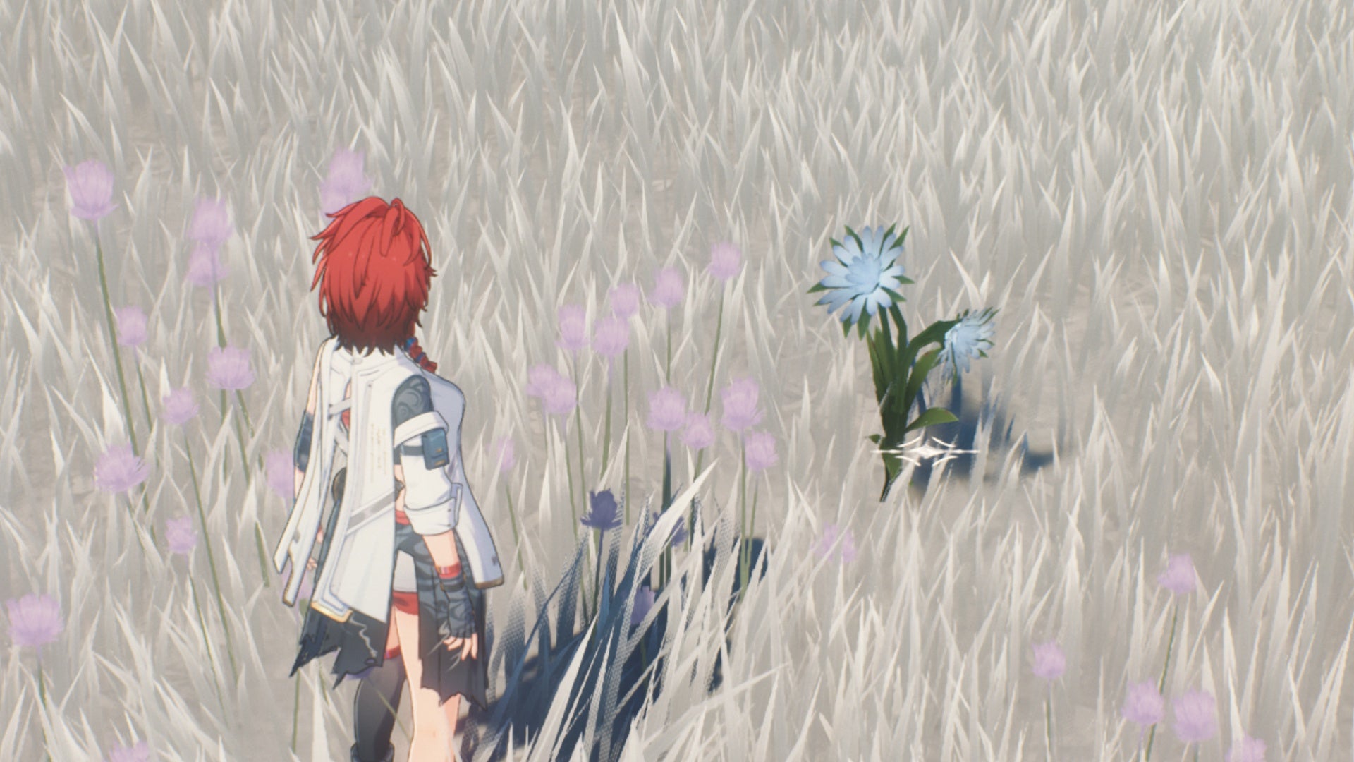 wuthering waves chixia facing wintry bell flower