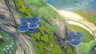 wuthering waves coriolus duo on tree