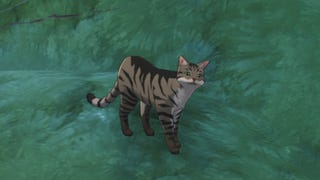 wuthering waves lulu cat