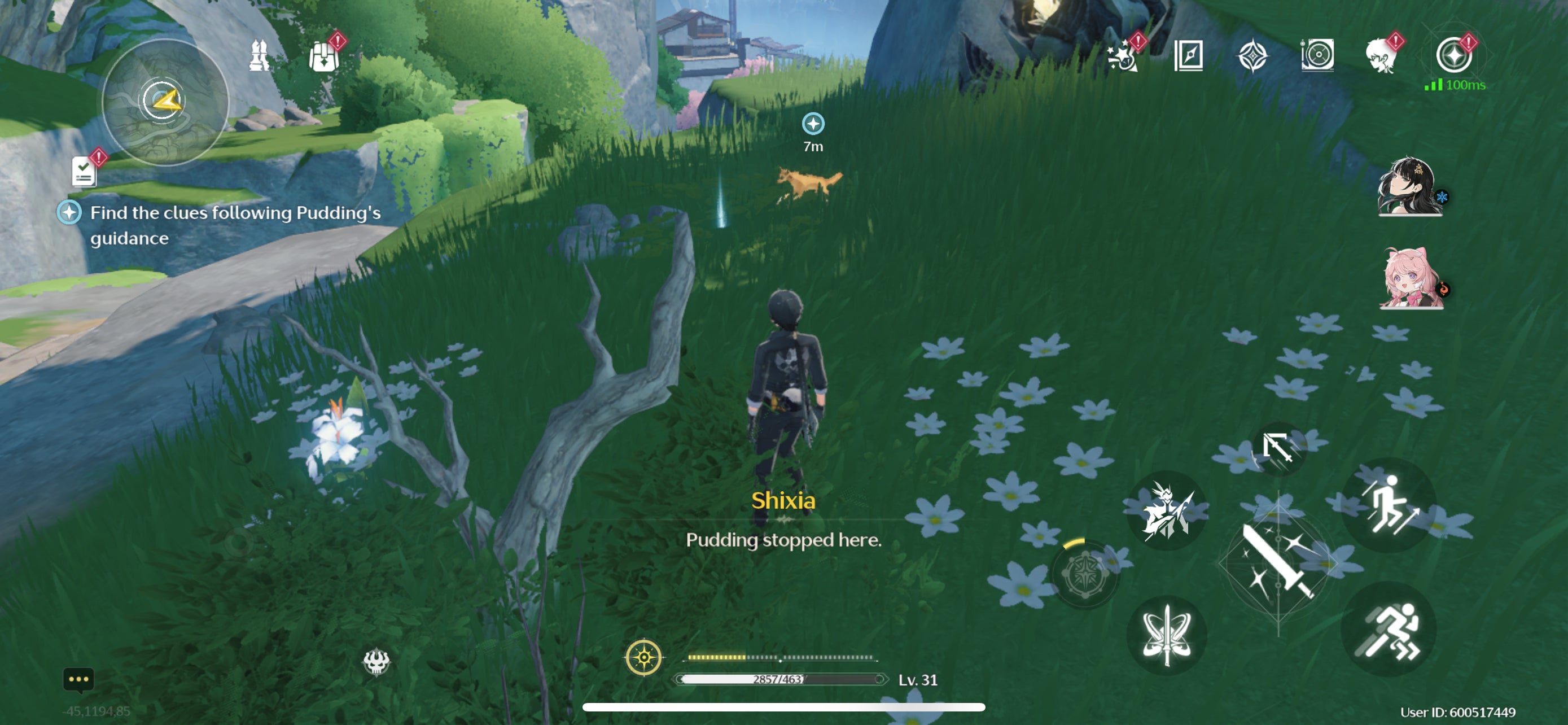 The Rover searching with Pudding in The Past is the Future in Wuthering Waves.