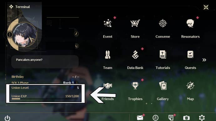 wuthering waves union xp and level menu on pause screen