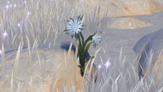 wuthering waves wintry bell flower