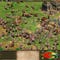 Screenshots von Age of Empires II: The Age of Kings