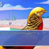 Hatoful Boyfriend screenshot