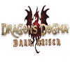 Dragon’s Dogma: Dark Arisen artwork