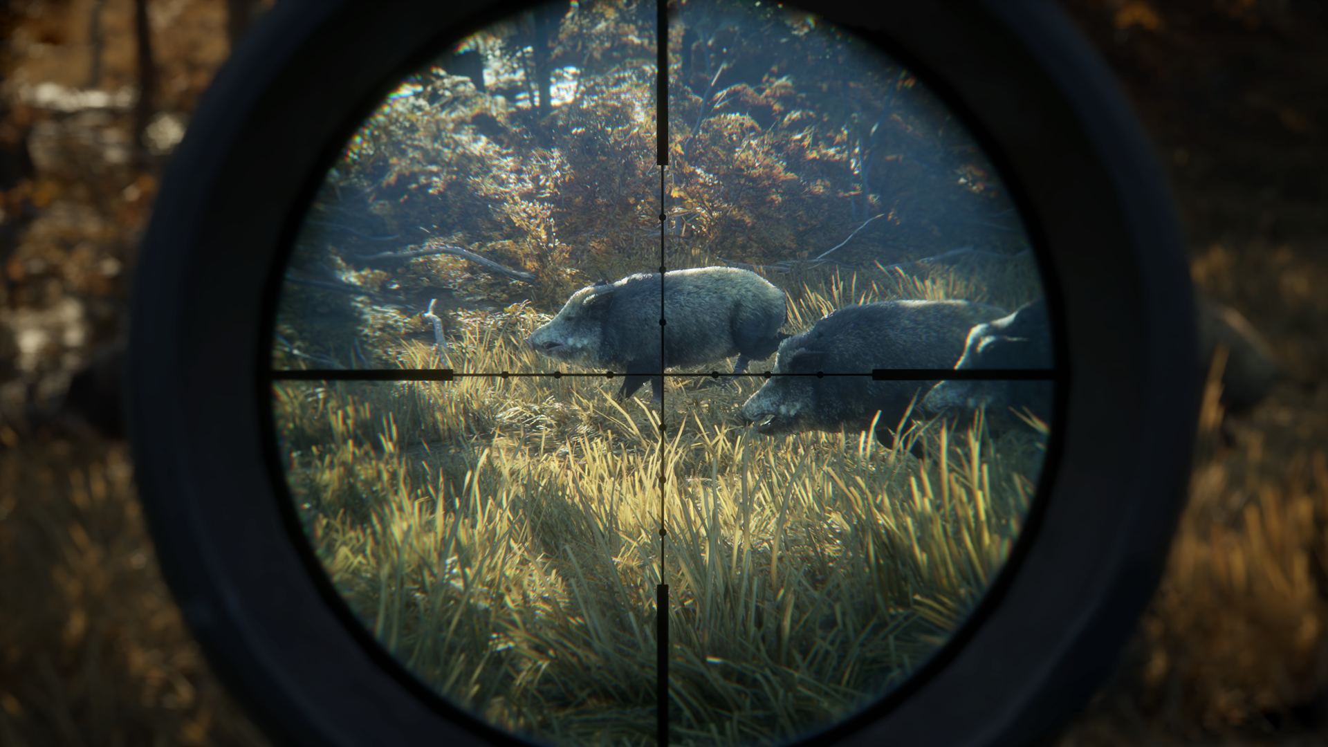 theHunter: Call of the Wild | Rock Paper Shotgun