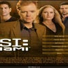 CSI: Miami screenshot