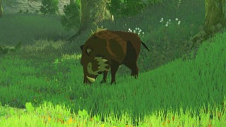 Zelda: Breath of the Wild's US programmer one day dreamed of working for Nintendo, ten years later his wish came true