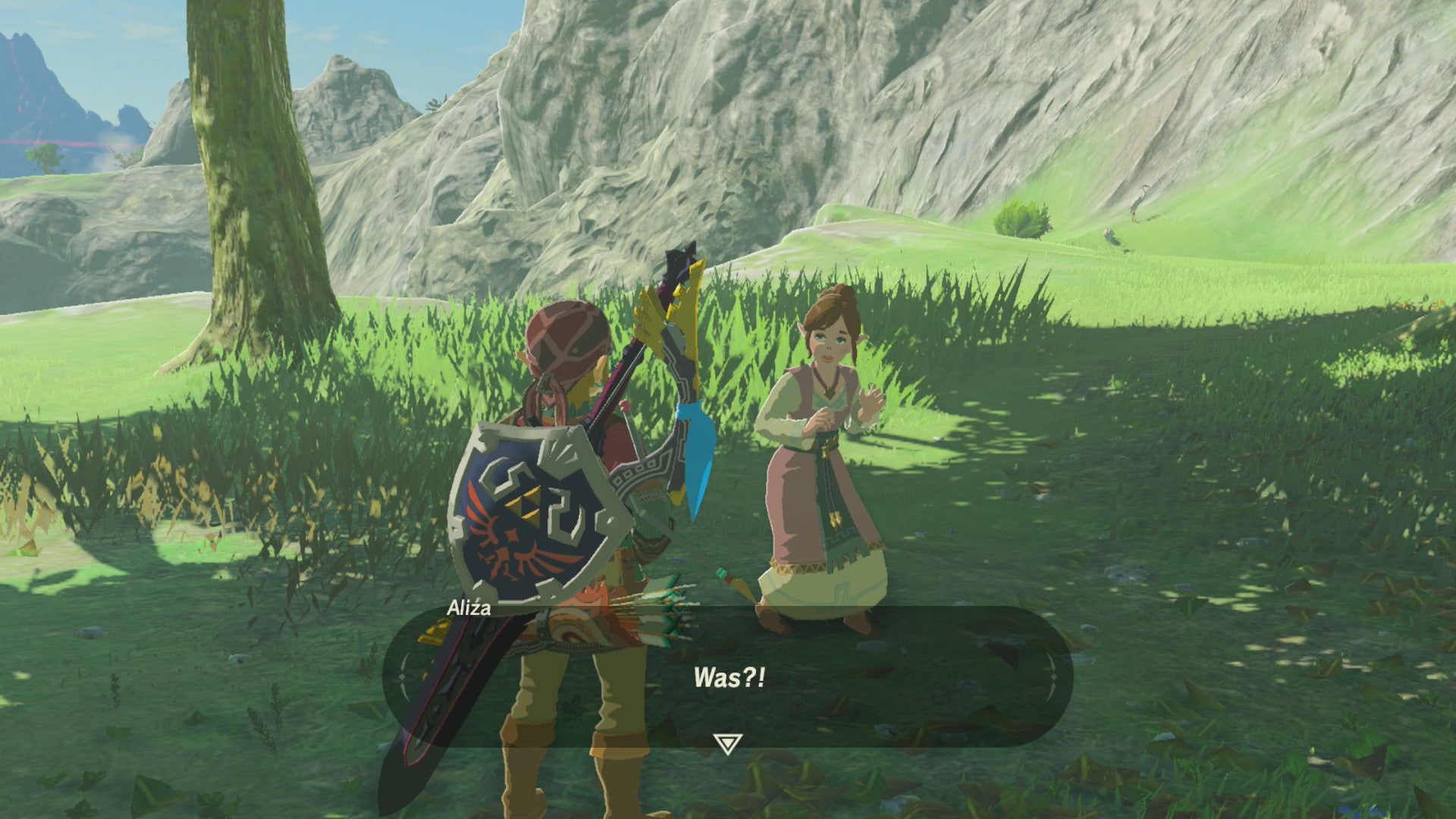 Zelda Breath Of The Wild Nebenaufgaben Zelda: Breath of the Wild - Nebenaufgaben Ebenen Hyrule