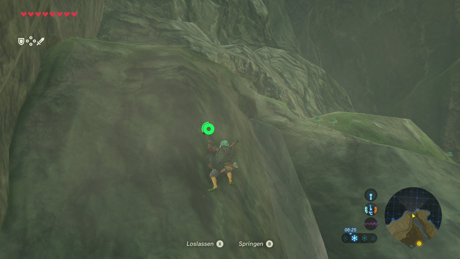 Zelda Breath Of The Wild Nebenaufgaben Zelda: Breath of the Wild - Nebenaufgaben / Wildfang, Die einzig wahren