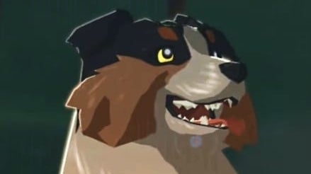 Zelda: Breath of the Wild speedrunner feeds every pup in record time ...