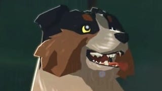 Zelda: Breath of the Wild speedrunner feeds every pup in record time
