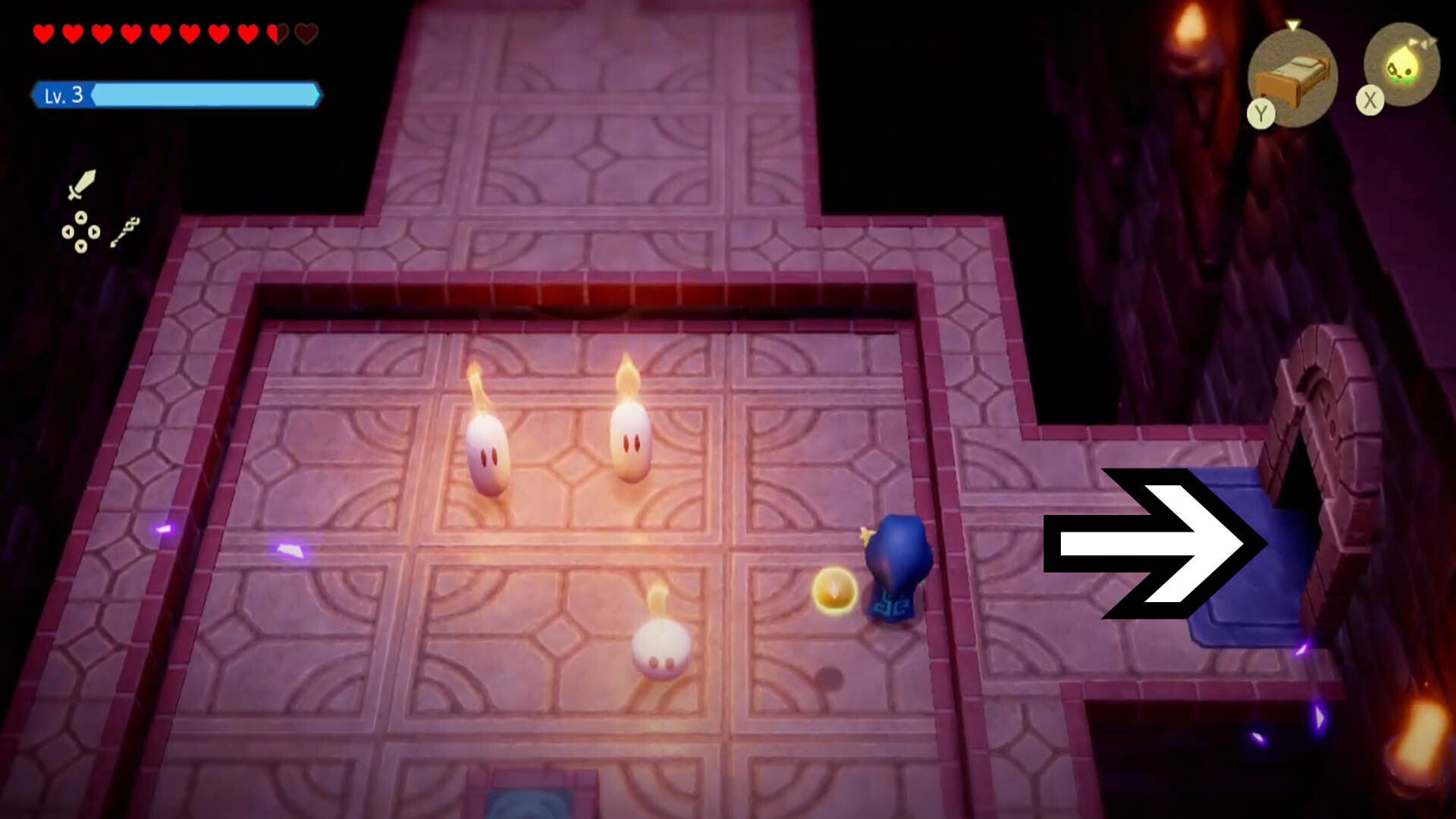 zelda echoes of wisdom hyrule castle dungeon ignizol group