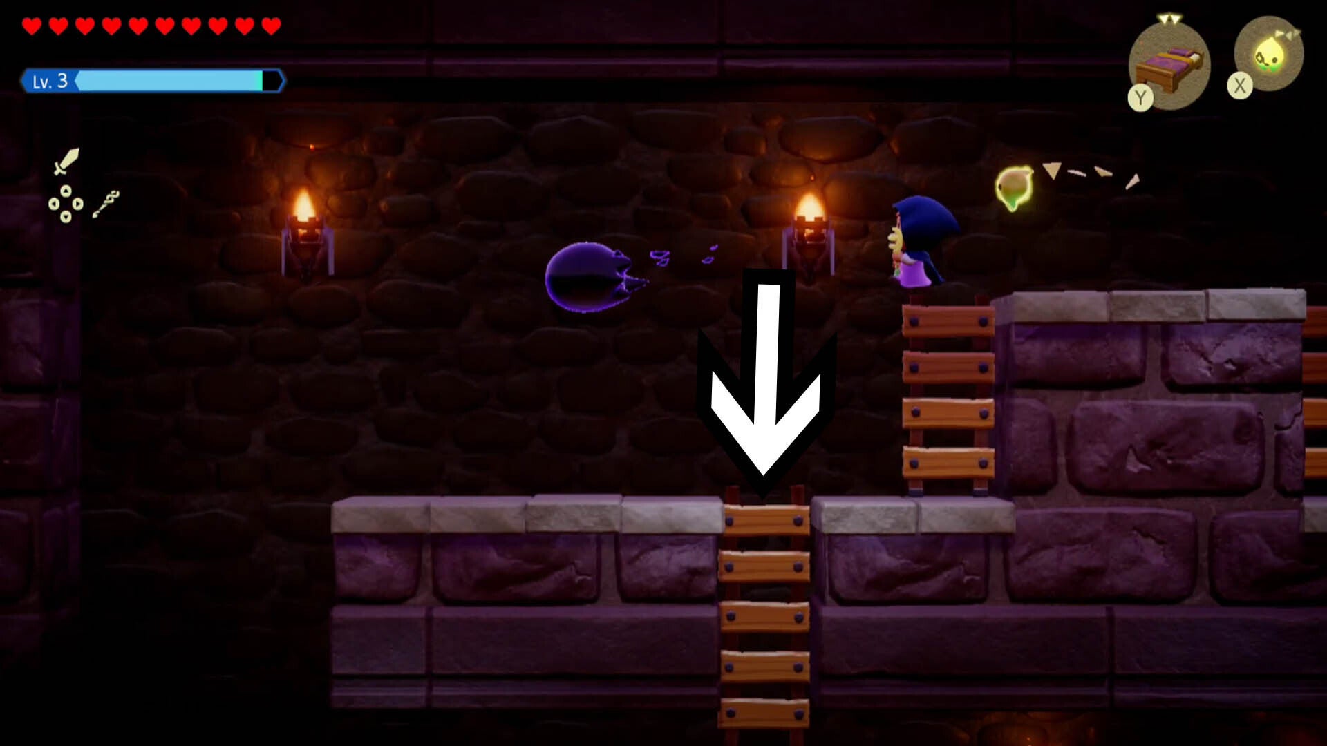 zelda echoes of wisdom hyrule castle dungeon path down ladder
