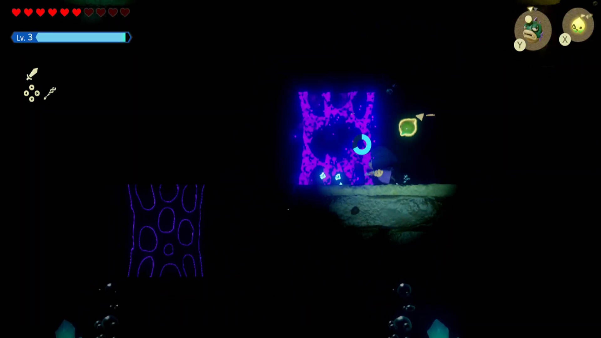 zelda echoes of wisdom hyrule castle dungeon underwater section goo walls