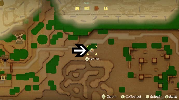 zelda echoes of wisdom questioning local cats final cat map location