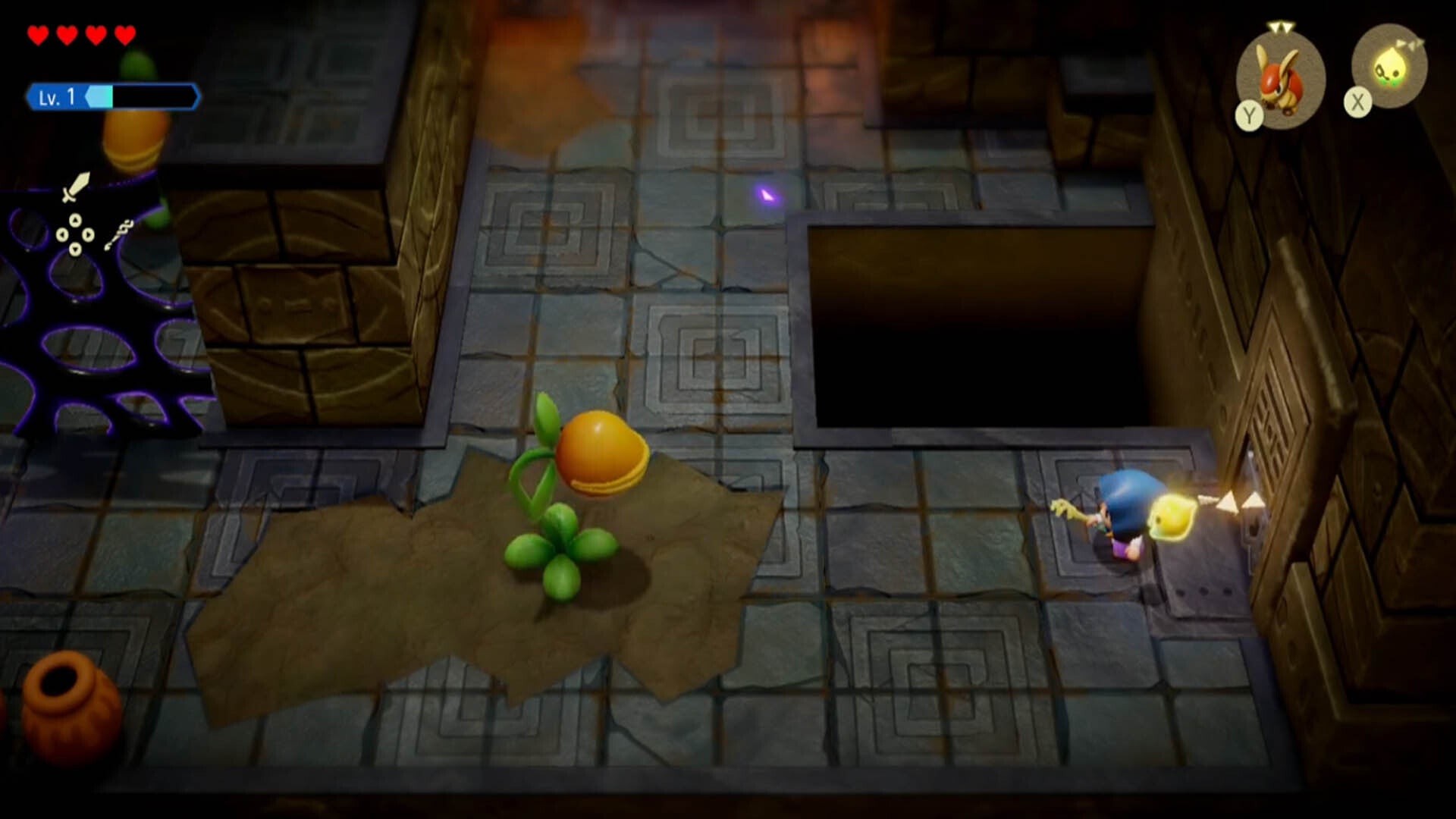 zelda echoes of wisdom suthorn dungeon first deku baba