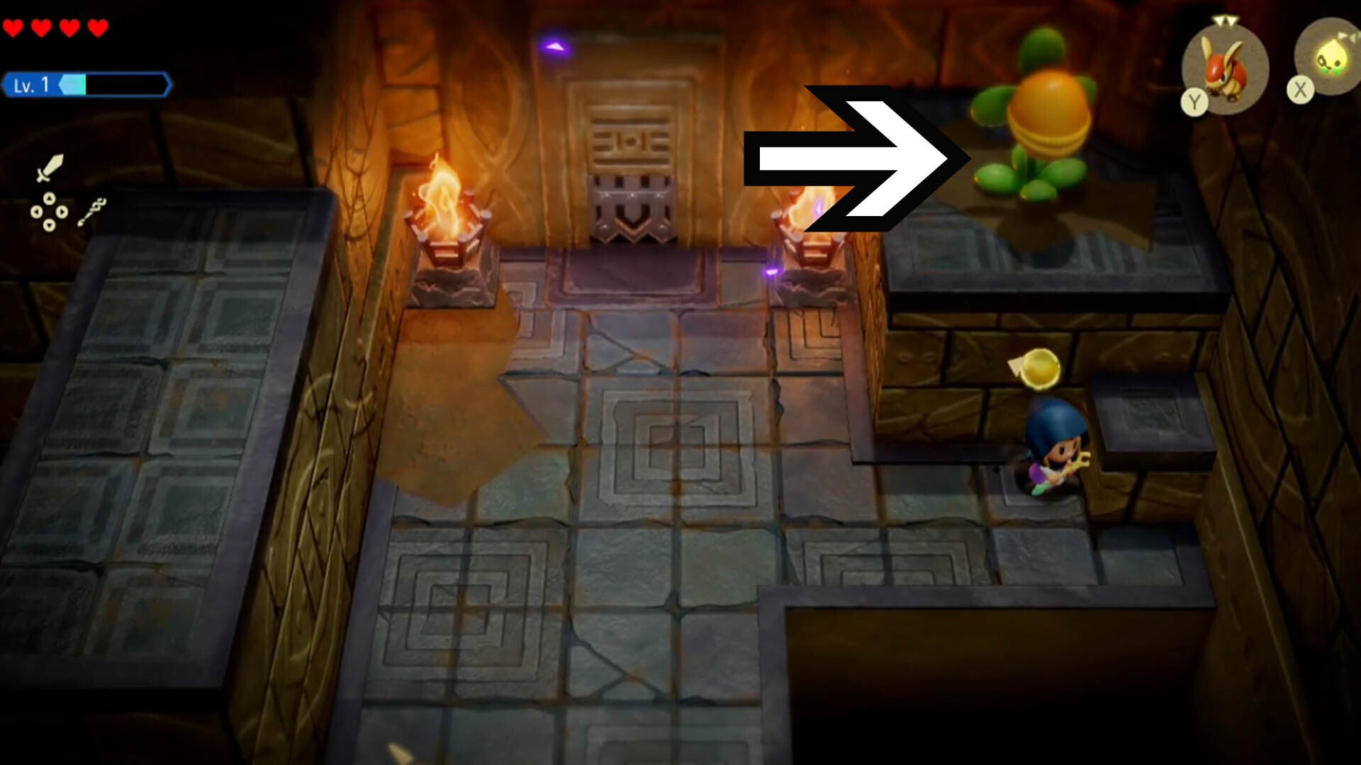 zelda echoes of wisdom suthorn dungeon third deku baba