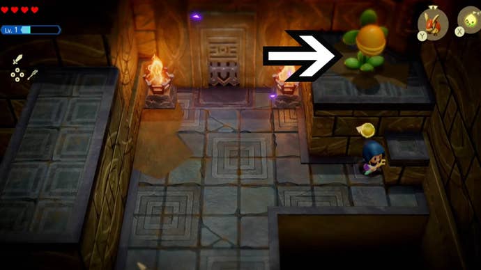 zelda echoes of wisdom suthorn dungeon third deku baba