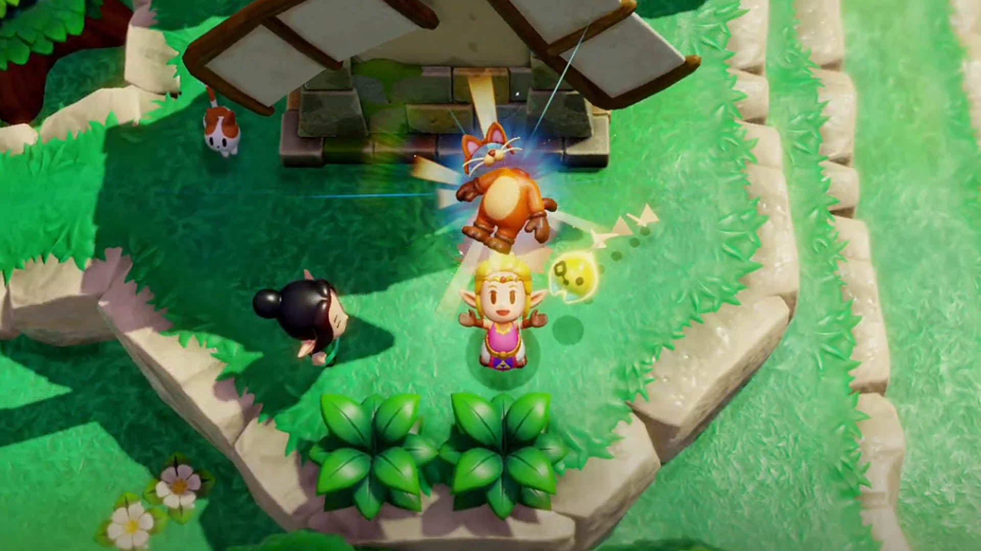 zelda echoes of wisdom zelda collecting cat clothes outfit