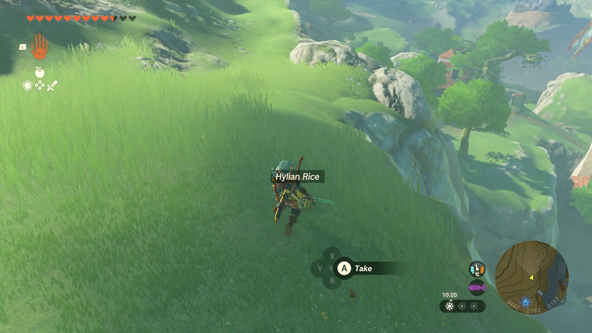 Link picking up some Hylian Rice in Zelda: Tears of the Kingdom - 8