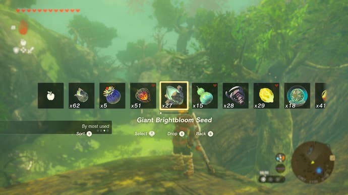 Link selecting a Giant Brightbloom Seed in Zelda: Tears of the Kingdom