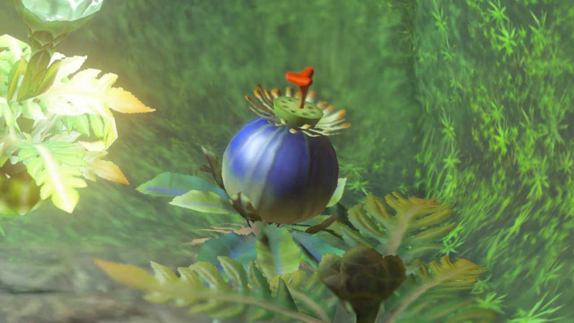 zelda totk bomb flower