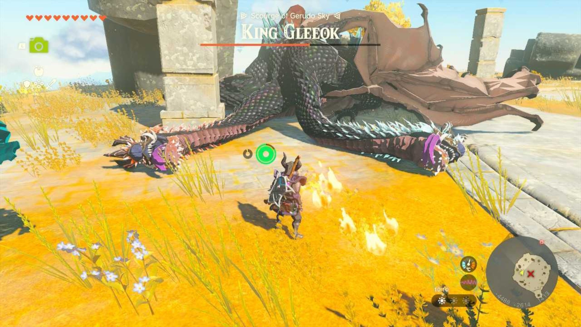 zelda totk downed king gleeok