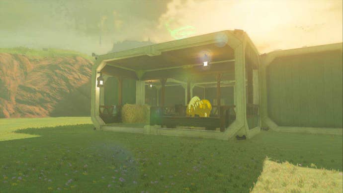 zelda totk golden horse in link house paddock