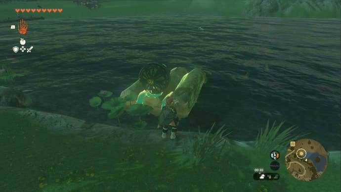 zelda totk letter to koyin lake sumac log boat