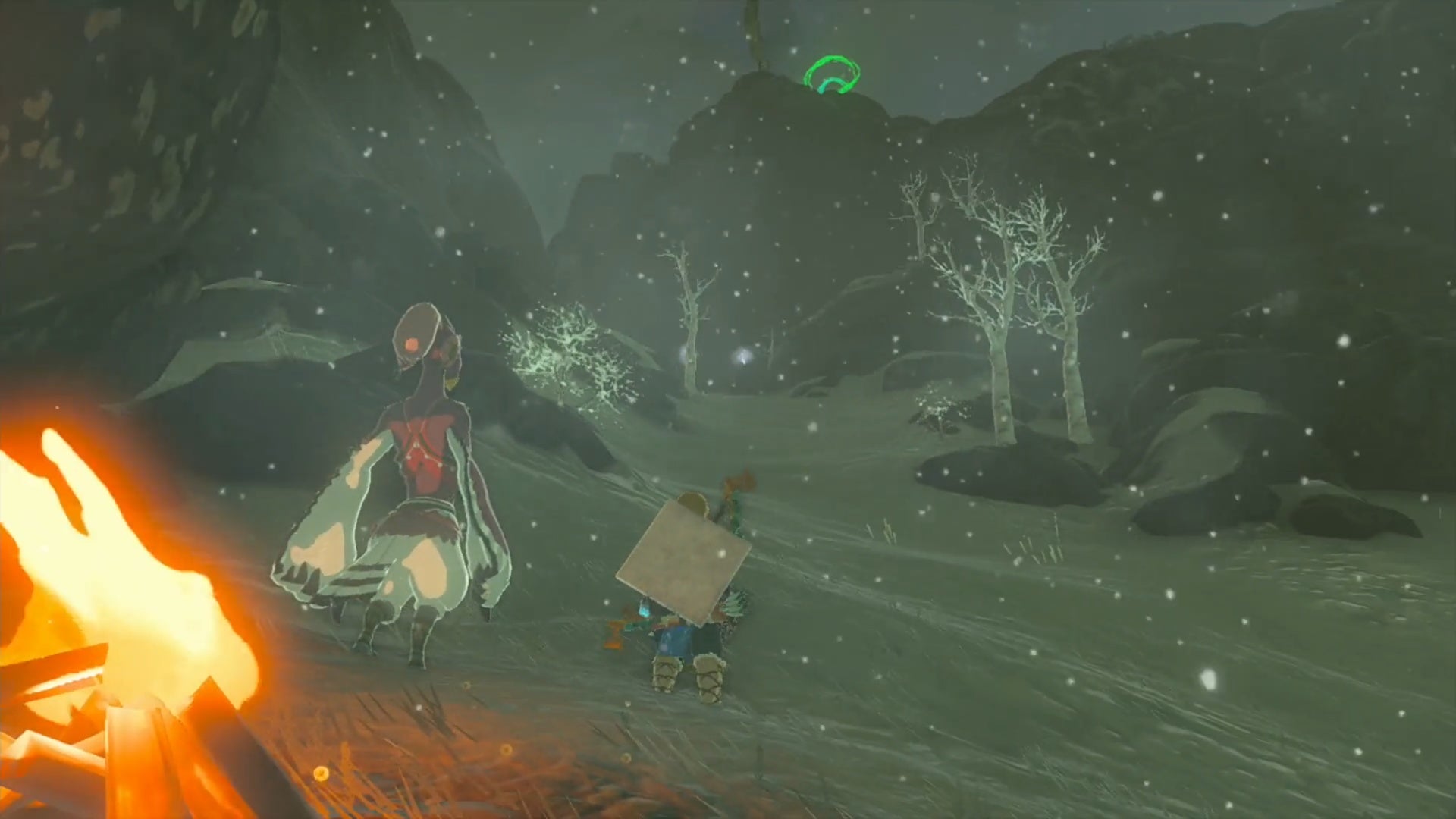 zelda totk link and cecili looking up hebra mountain slope