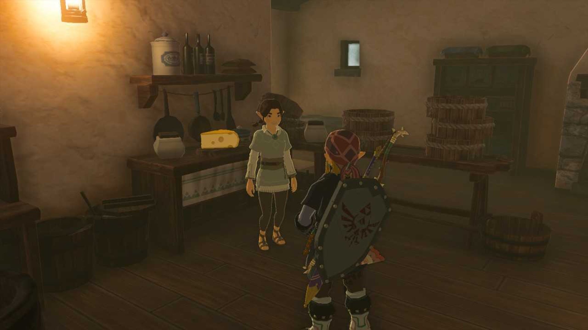 zelda totk link speaking to koyin in hateno pasture house
