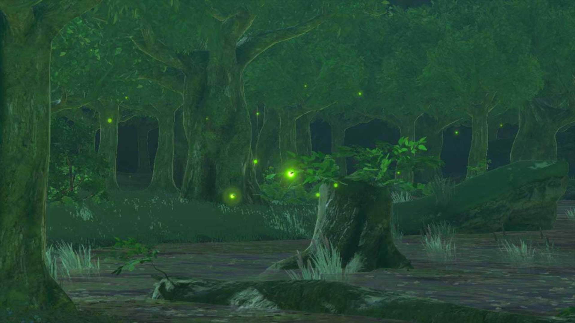 zelda totk sunset fireflies in a forest