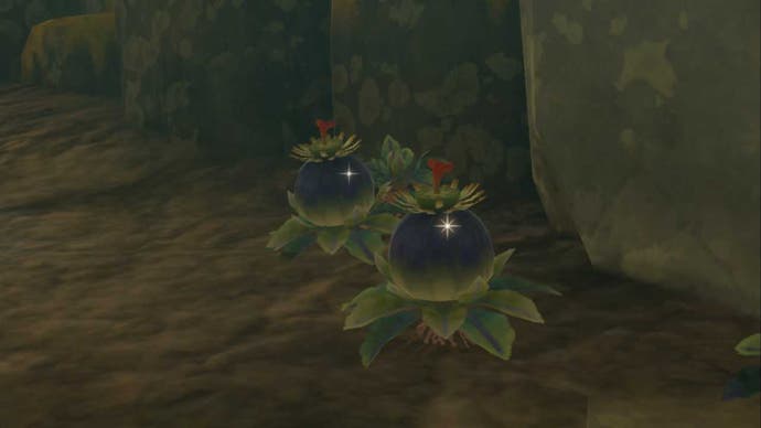 zelda totk two bomb flowers in cave