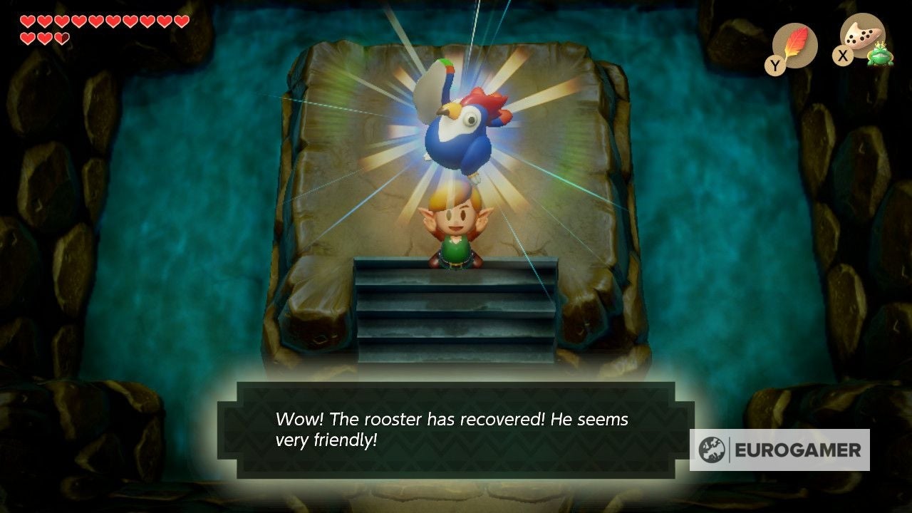 Zelda Link's Awakening Bird Key location, Signpost Maze solution and