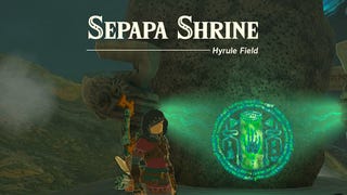 Zelda Tears of the Kingdom Sepapa Shrine solution