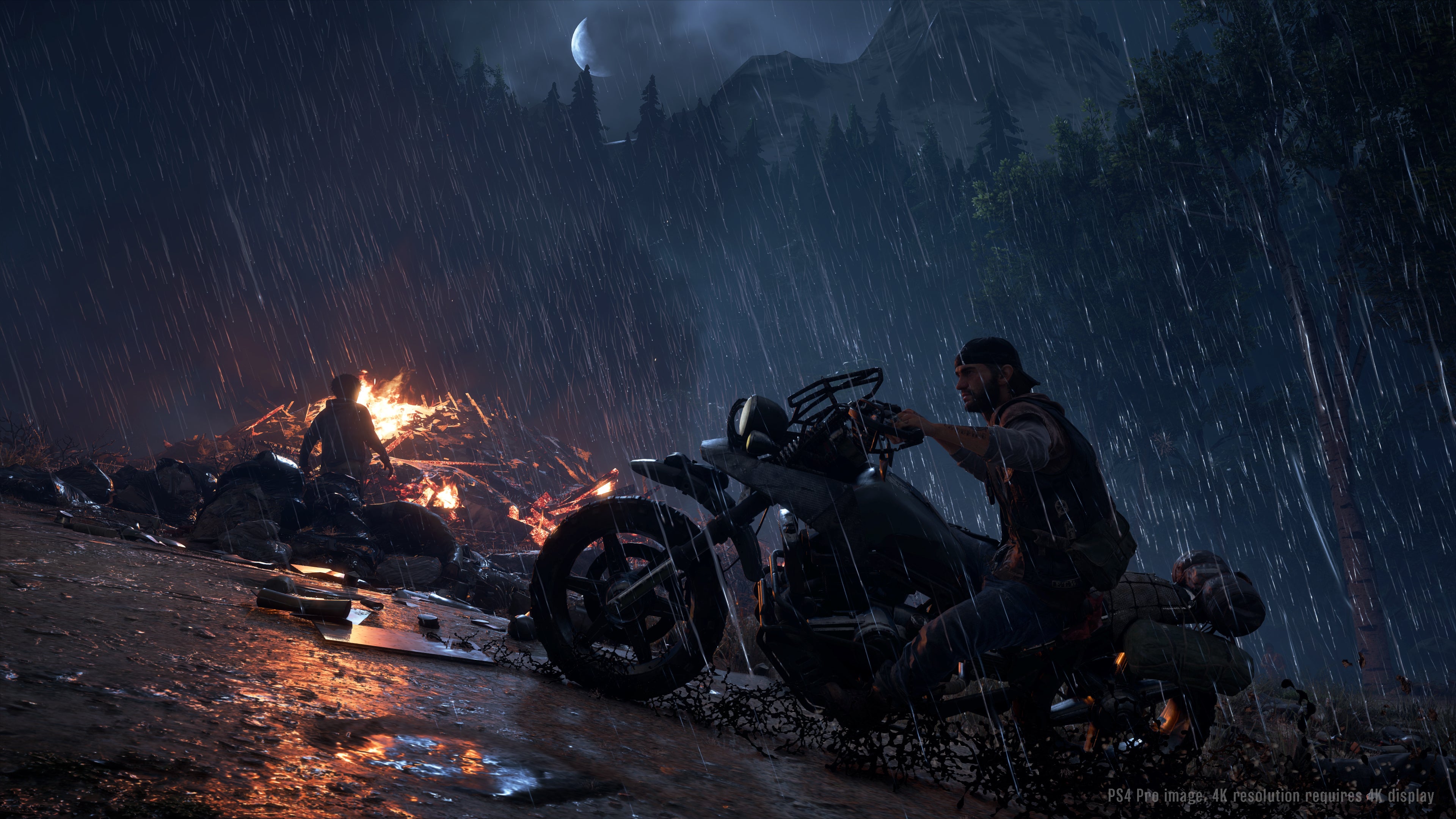 Days Gone screenshot