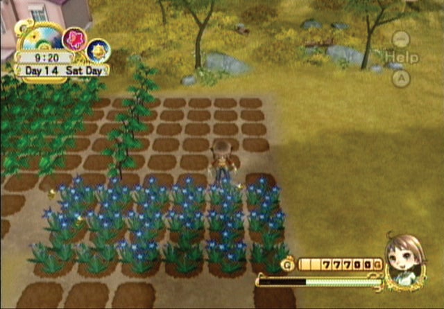 Harvest moon tree sales of tranquility pc